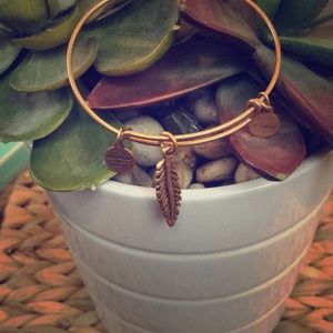Alex and Ani Bangle